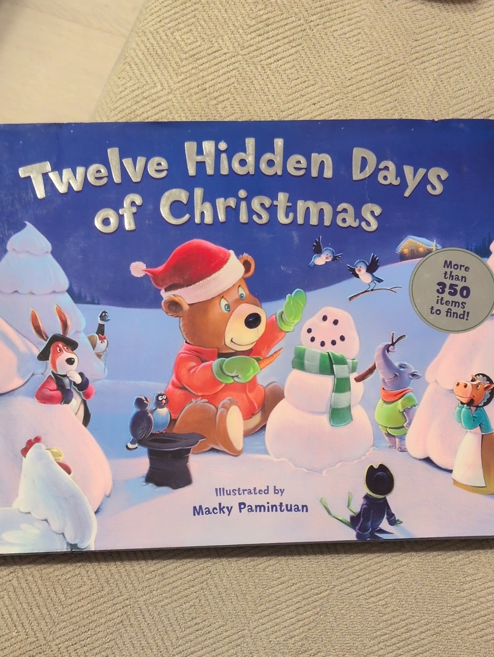 Twelve Hidden Days of Christmas Illustrated Children's Book